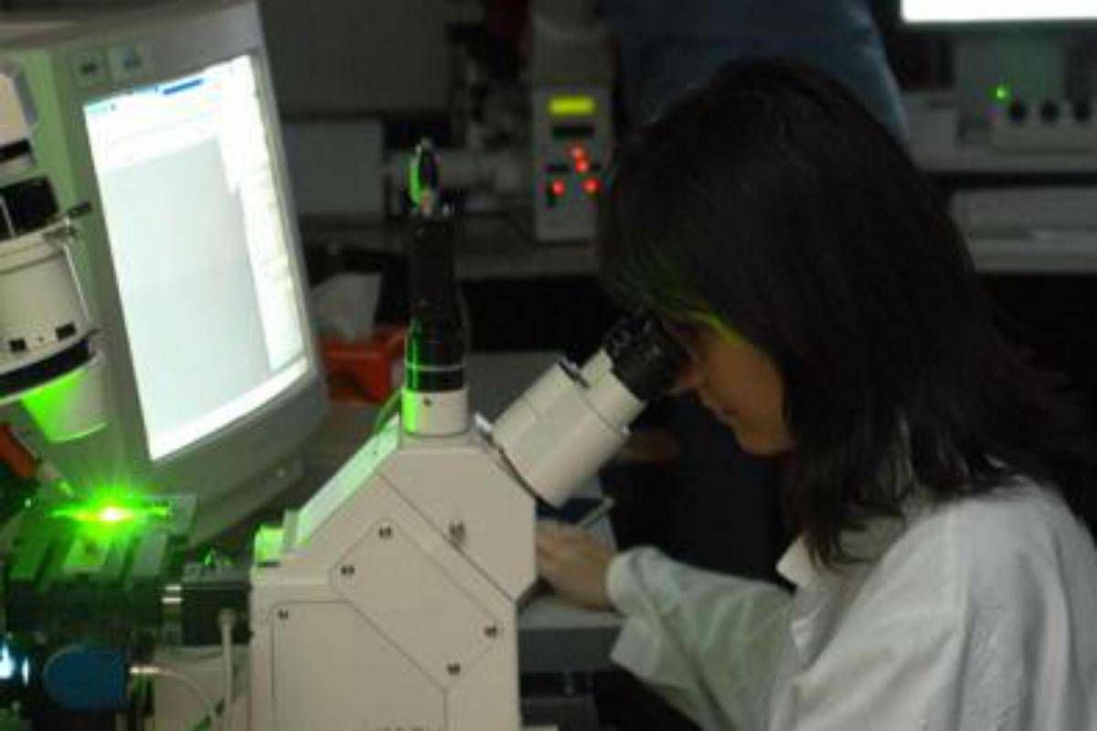 Sclerosi multipla, 78% pazienti insoddisfatto di assistenza e riabilitazione - 