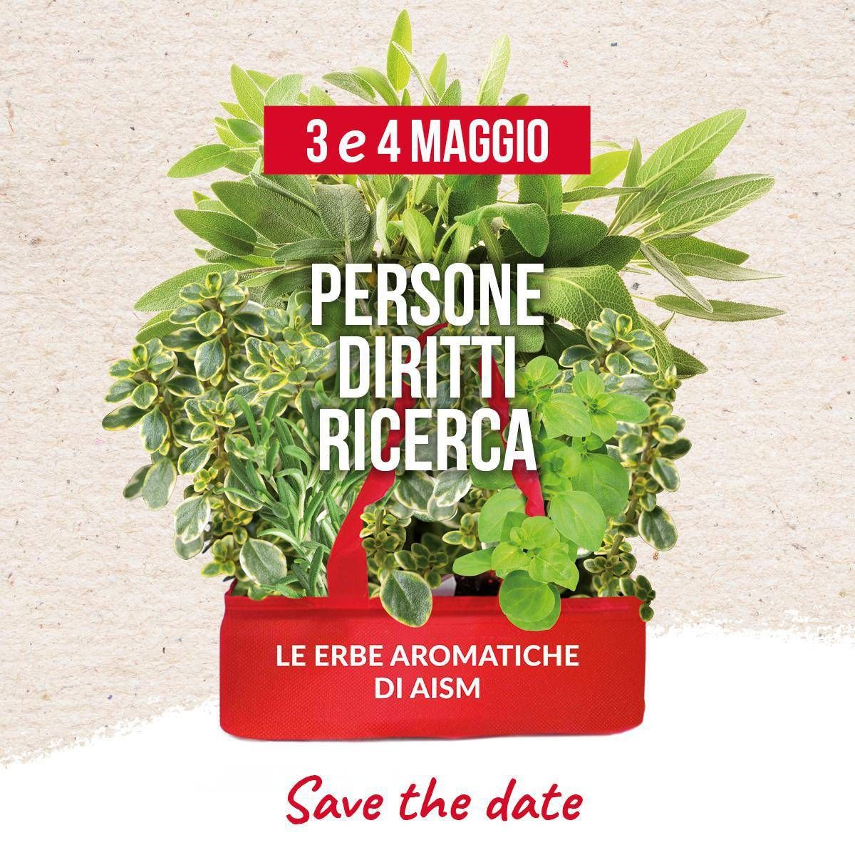 Ricerca, le erbe aromatiche di Aism tornano in piazza per lotta alla sclerosi multipla - 