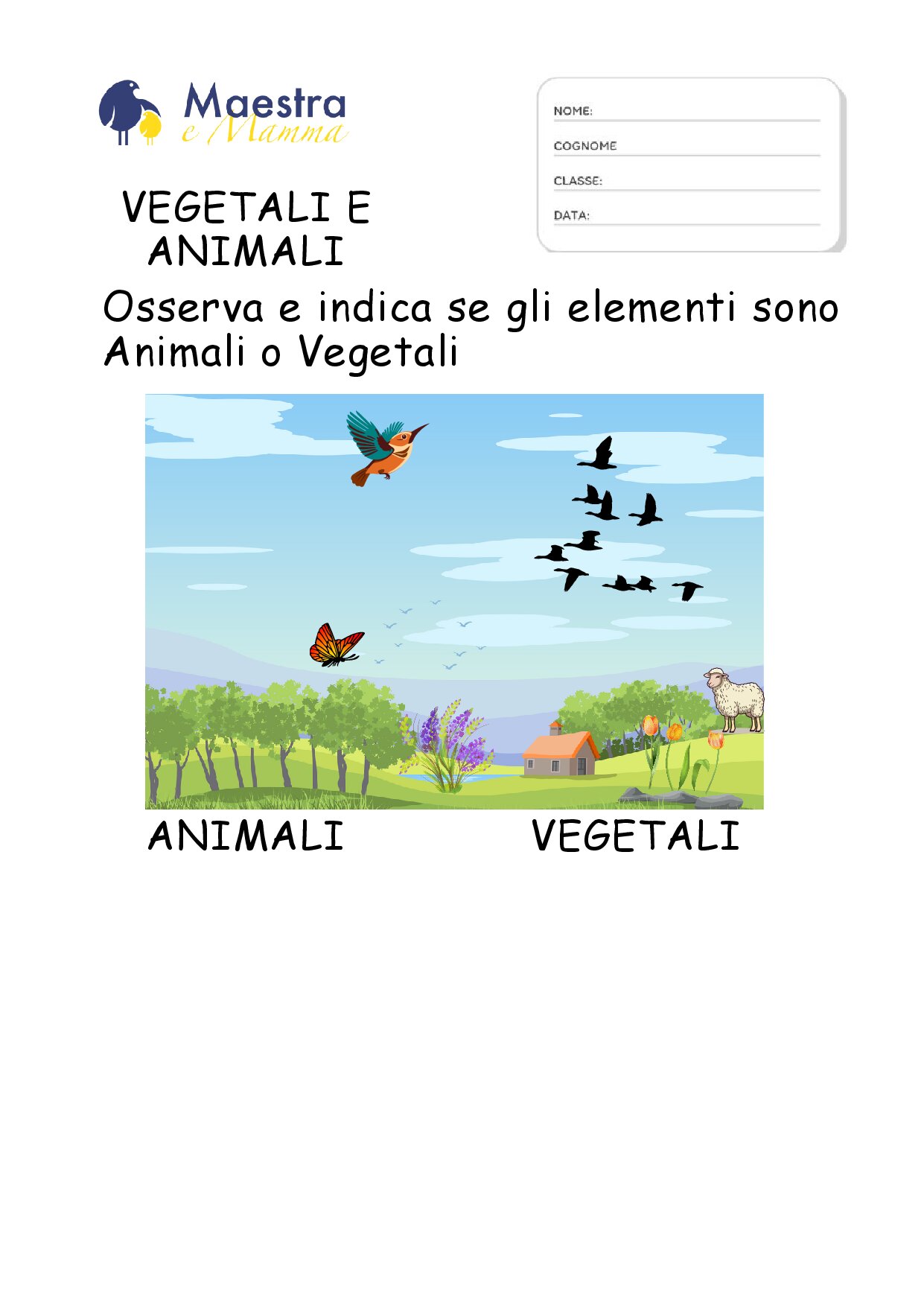scheda di scienze 1 elementare animale e vegetale [1 MB]