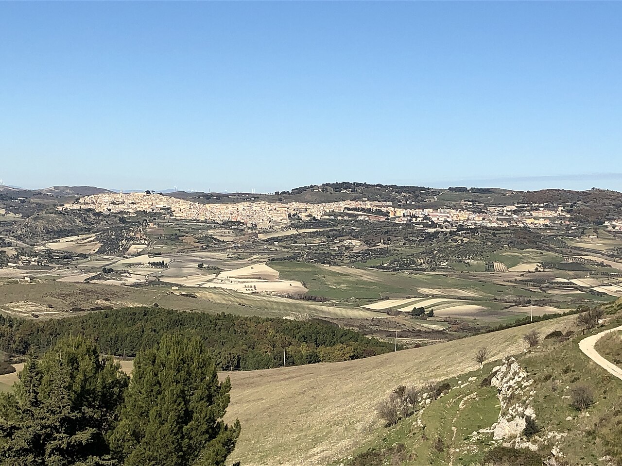 Panorama