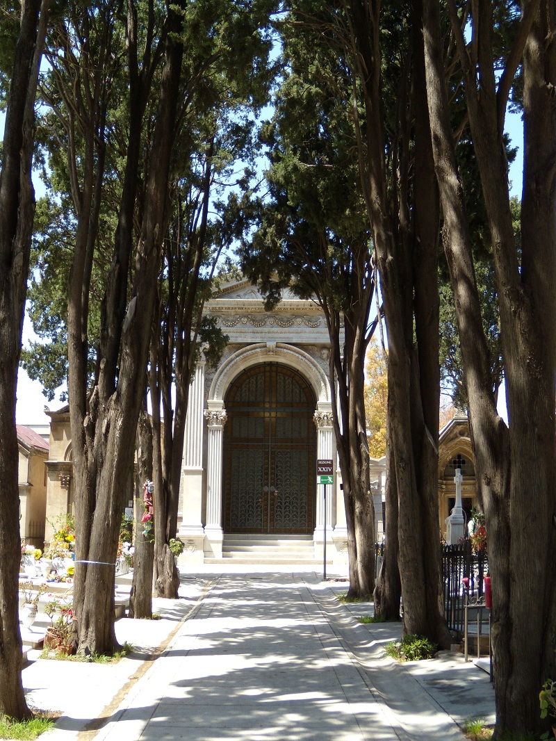 Viale del cimitero