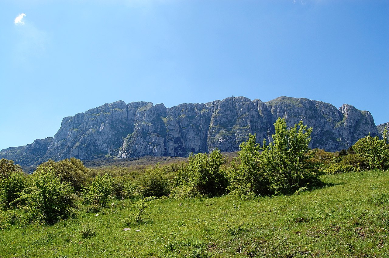 Panorama