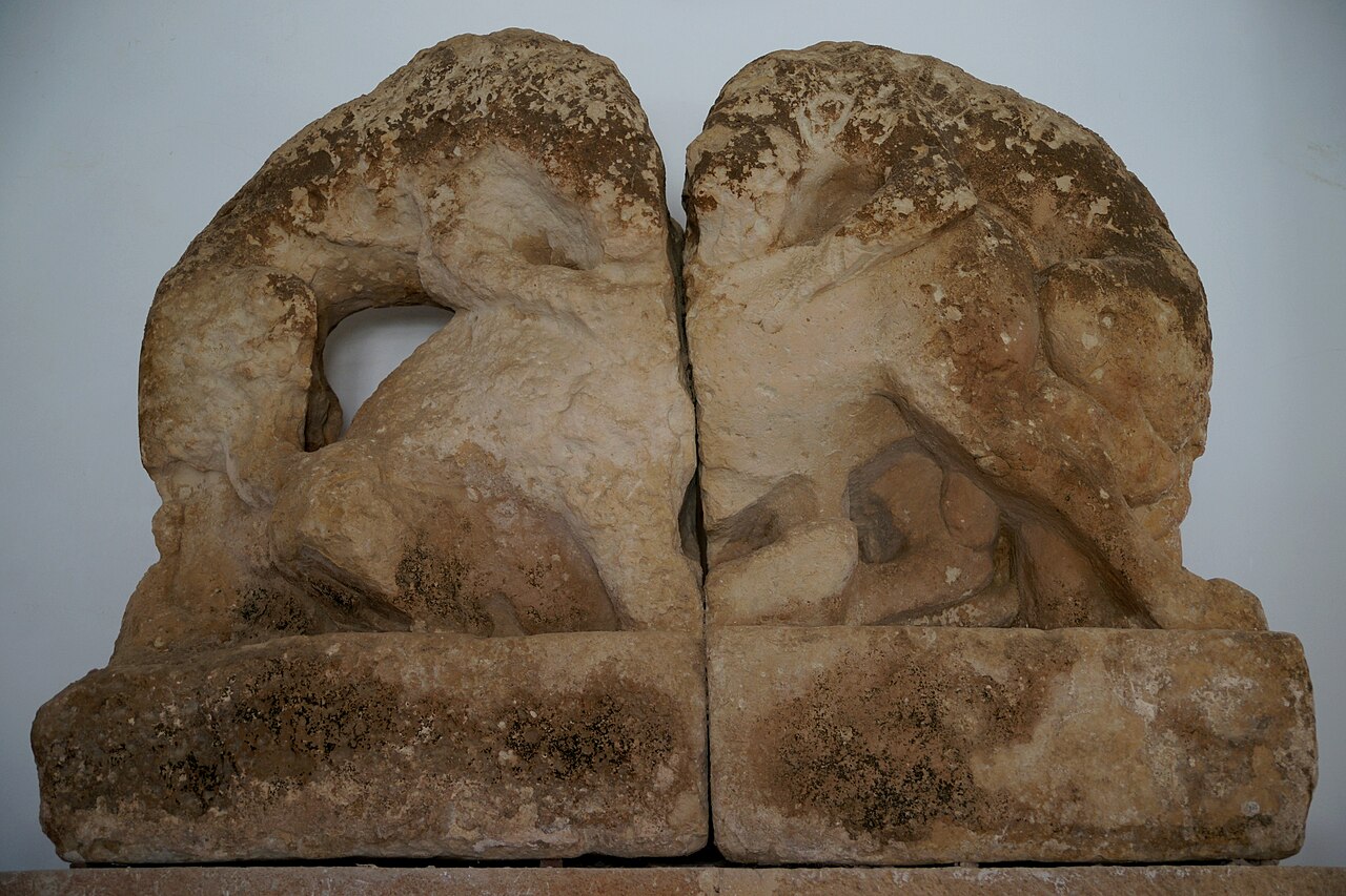 Dettagli museo