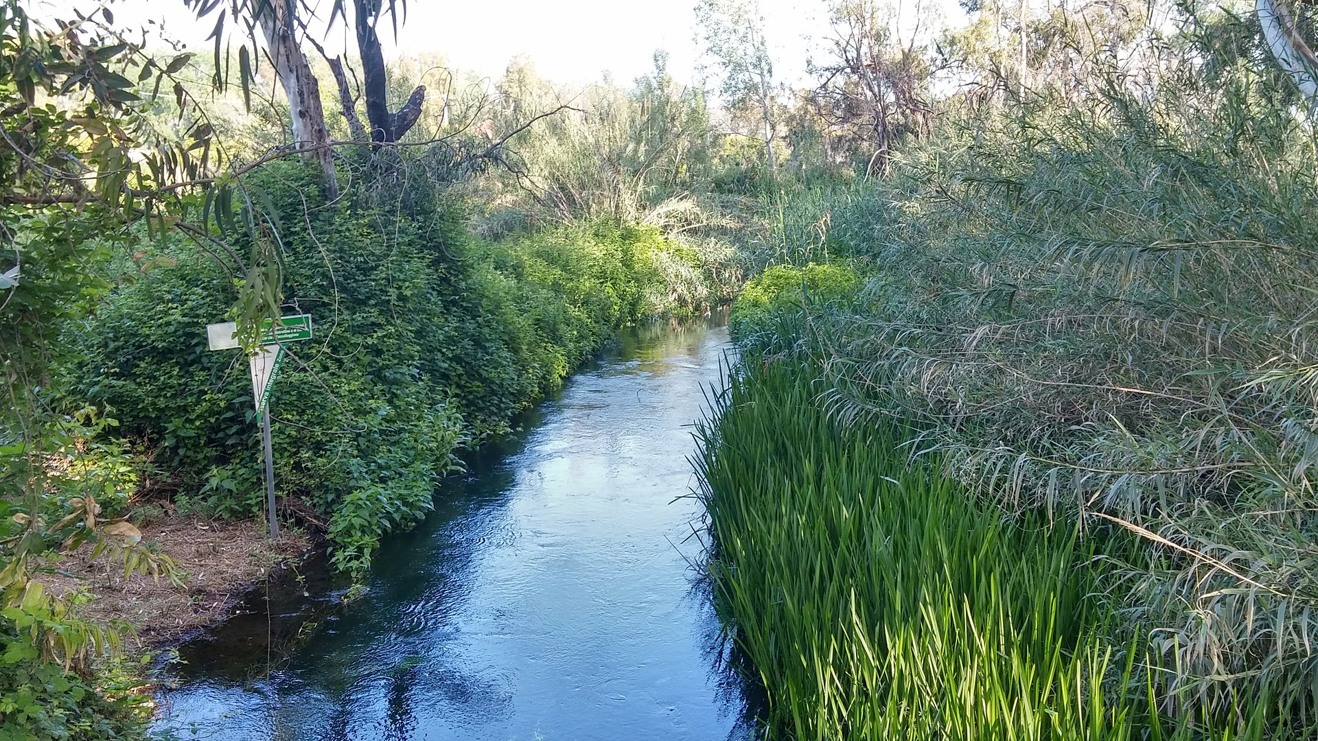 Fiume Fiumefreddo