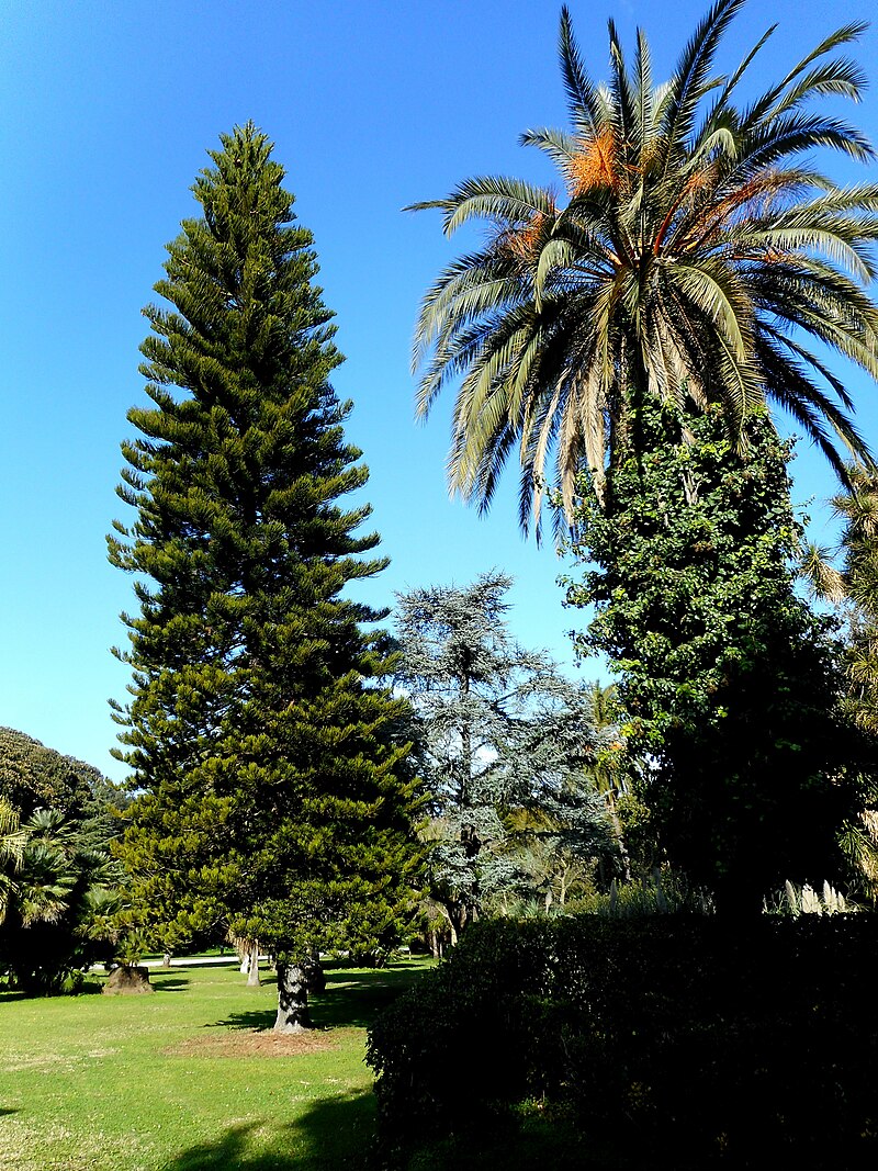 Giardino della Villa