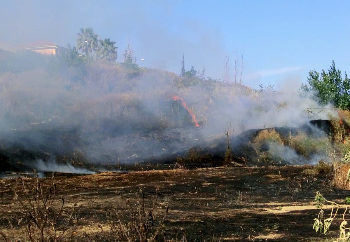 🔥 Catania, Librino nella morsa degli incendi: “Basta una scintilla per scatenare l’inferno” 🔥 -