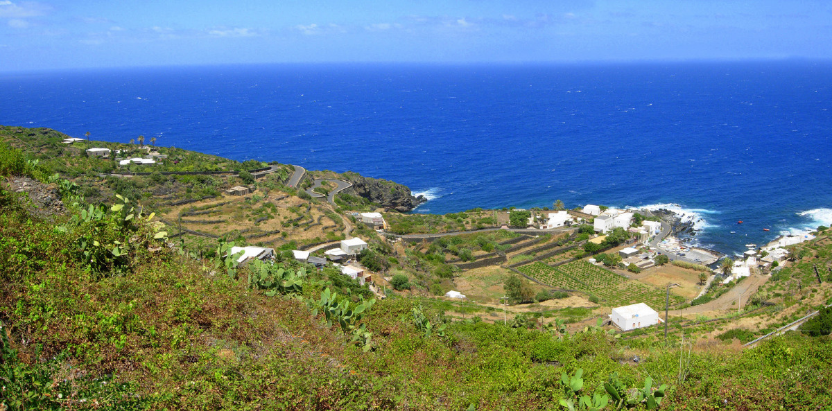 Tutti gli occhi sono puntati su di loro | Isole siciliane, c’è qualcosa che sta cambiando senza che tu lo sappia - Foto: Goldmund100/Wikipedia