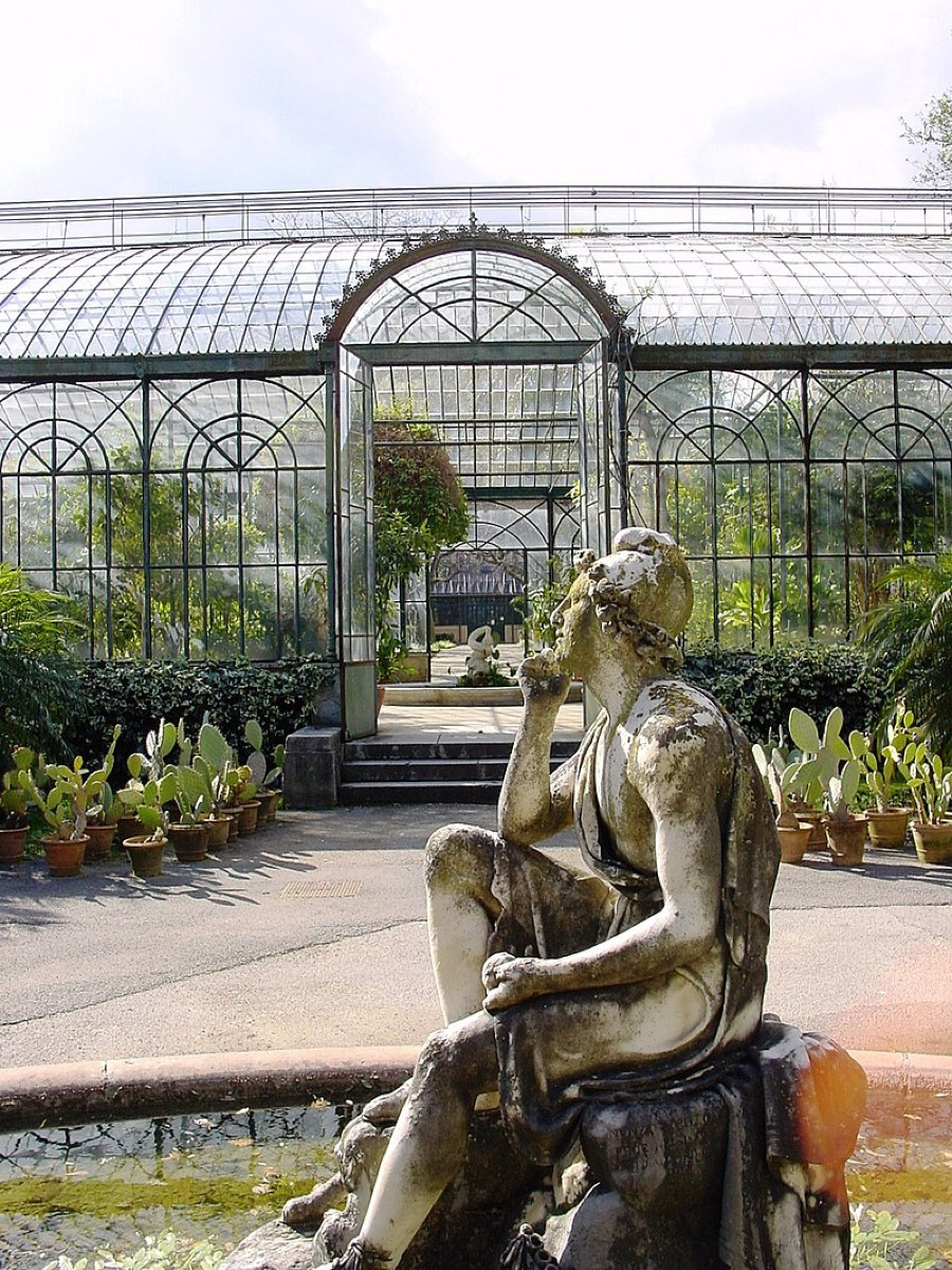 Lo chiamano il "giardino dei mostri vegetali" | Perché l’Orto Botanico di Palermo è il più bizzarro d’Europa - Foto: tato grasso/Wikipedia