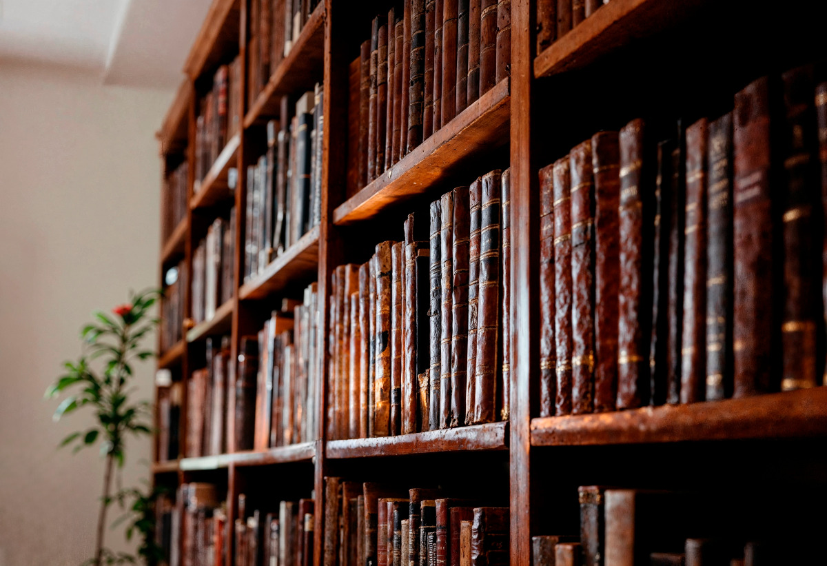 C'è una biblioteca a Palermo che ha sfidato la guerra | La storia che nessuno ti ha mai raccontato - Foto: freepik