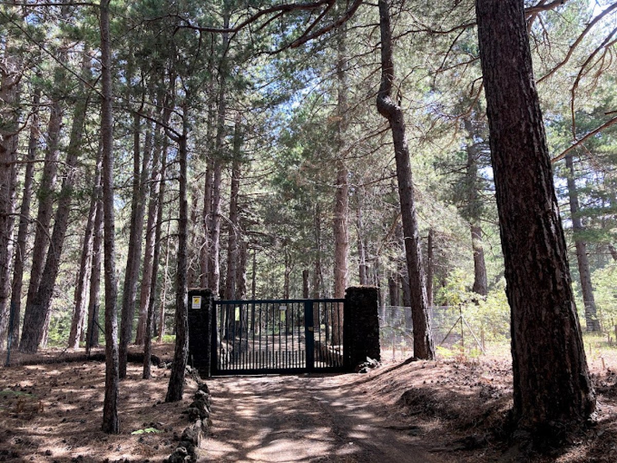 Un angolo di natura che pochi hanno visto | Giardino Nuova Gussonea e il lato nascosto dell’Etna alpino - Foto: Roberto Astuto