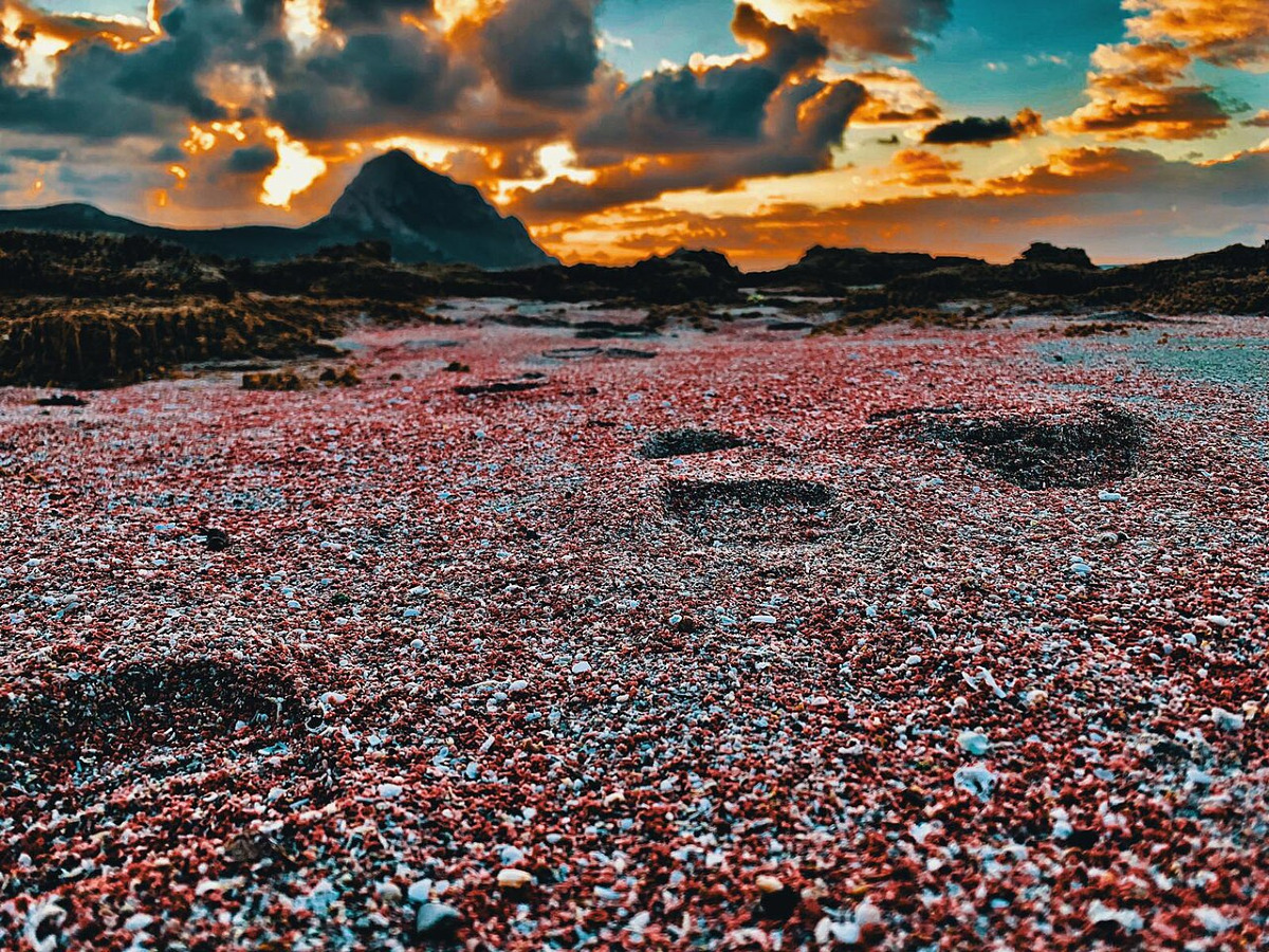 Lì dove il mare abbraccia la montagna | Ecco il luogo siciliano dove la natura ti lascerà senza parole - Foto: BlueShepard01/Wikipedia
