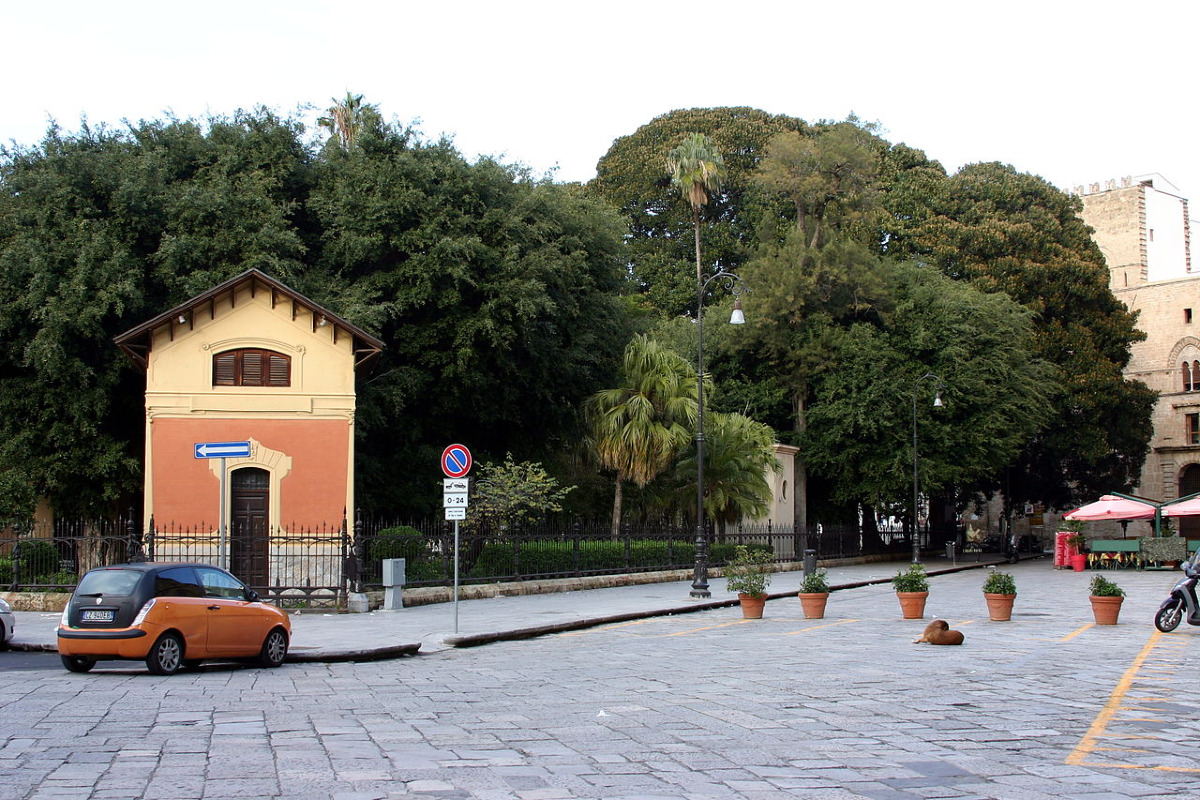 A Palermo c'è il giardino dei ficus giganti | Ecco il segreto di piazza Marina che stupisce scienziati e viaggiatori - Foto: José Luiz Bernardes Ribeiro/Wikipedia