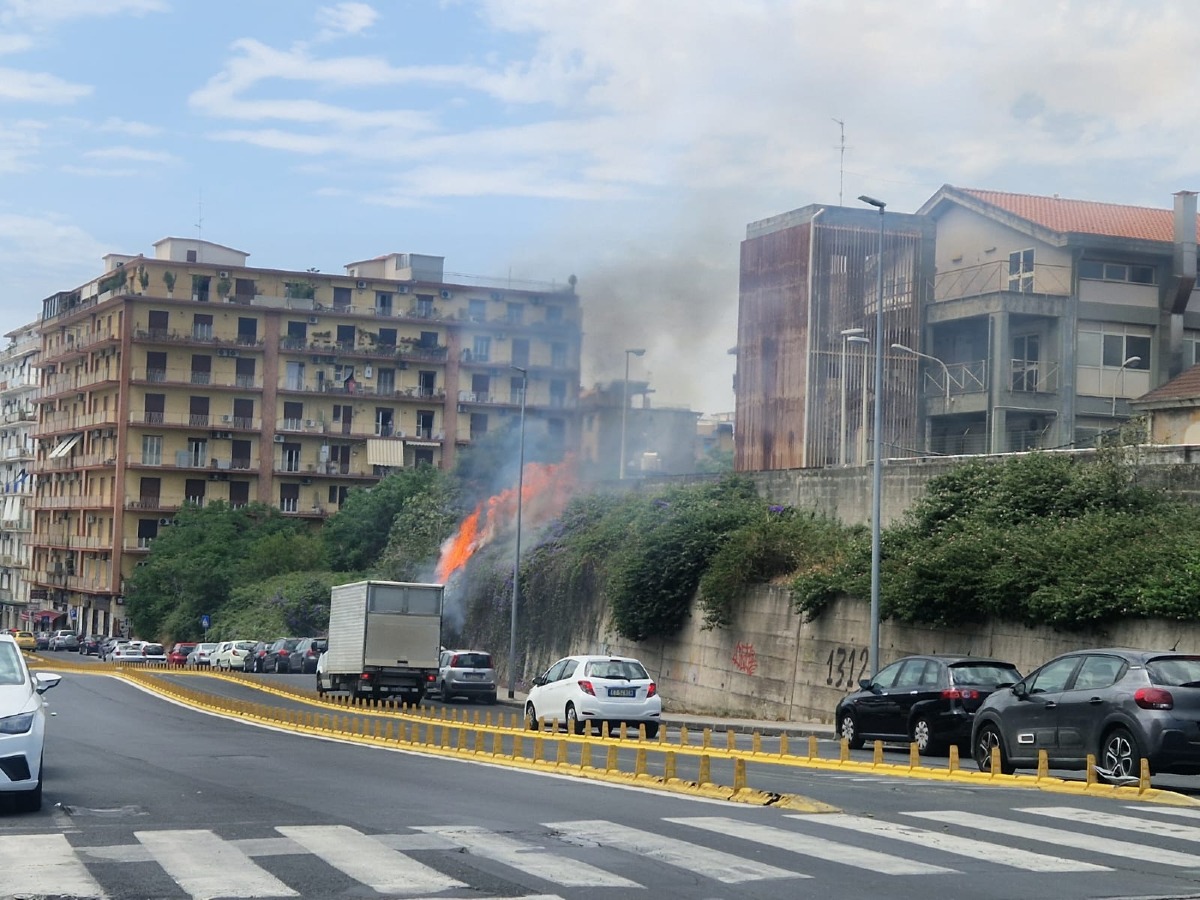 Paura a Catania, incendio vicino a scuola e caserma: l’allarme del consigliere Spadaro - 