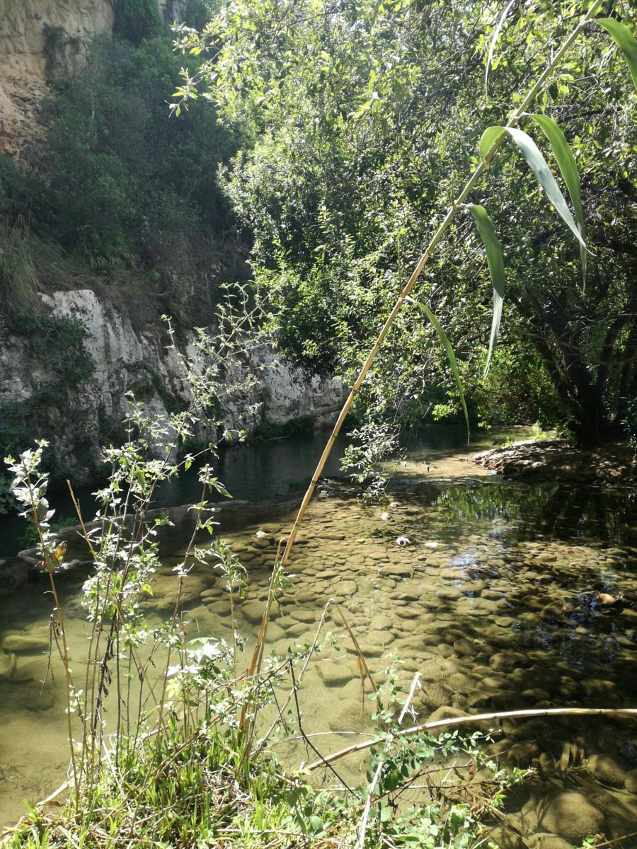 Un posto siciliano da sogno che pochi conoscono | Cava Paradiso, tra acqua cristallina e natura incontaminata - Foto: Cate74/Wikiloc