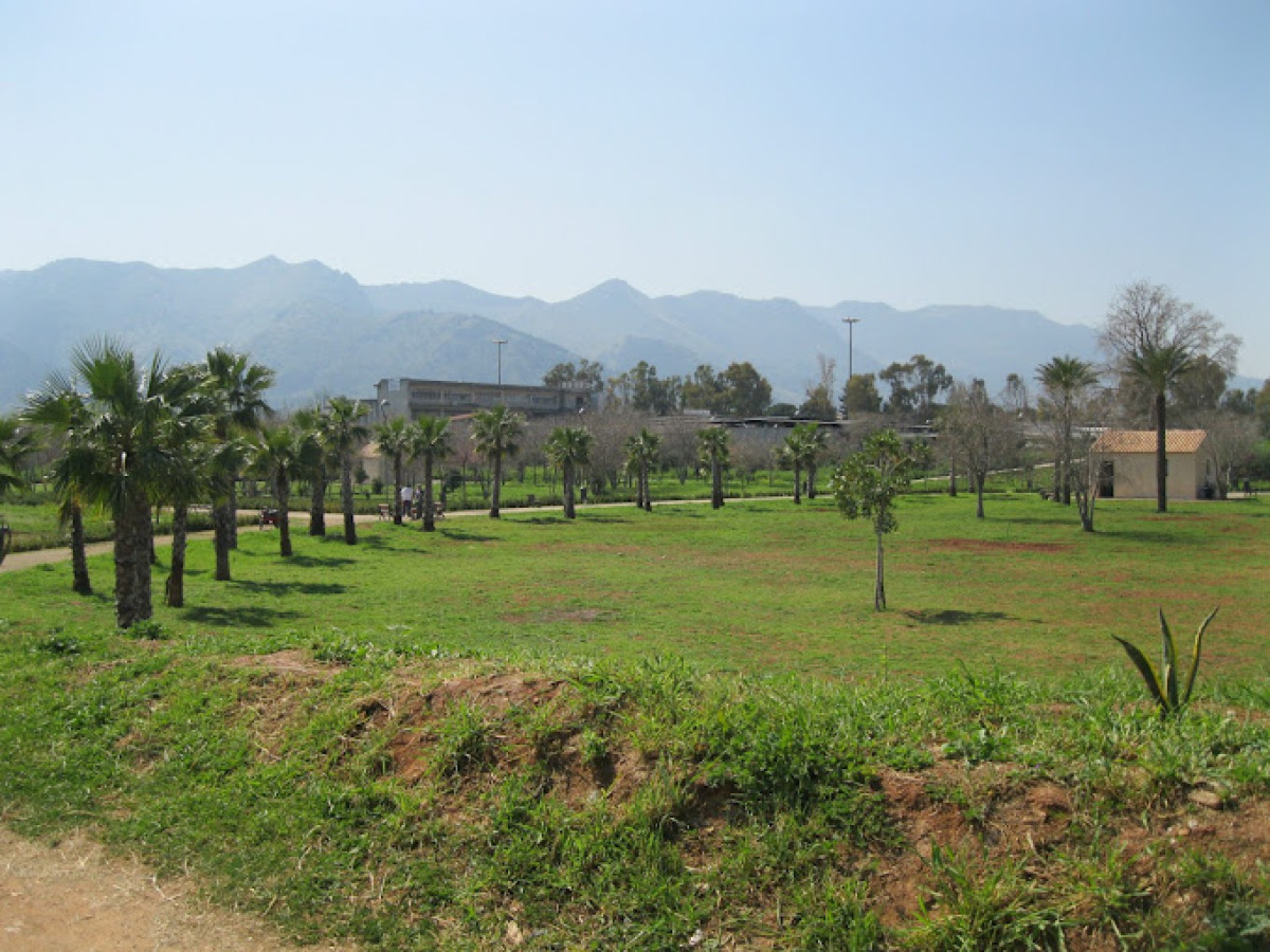 Non crederai a cosa è diventato | Parco Cassarà, l’incredibile evoluzione che sta riaccendendo Palermo - Foto: Vinz