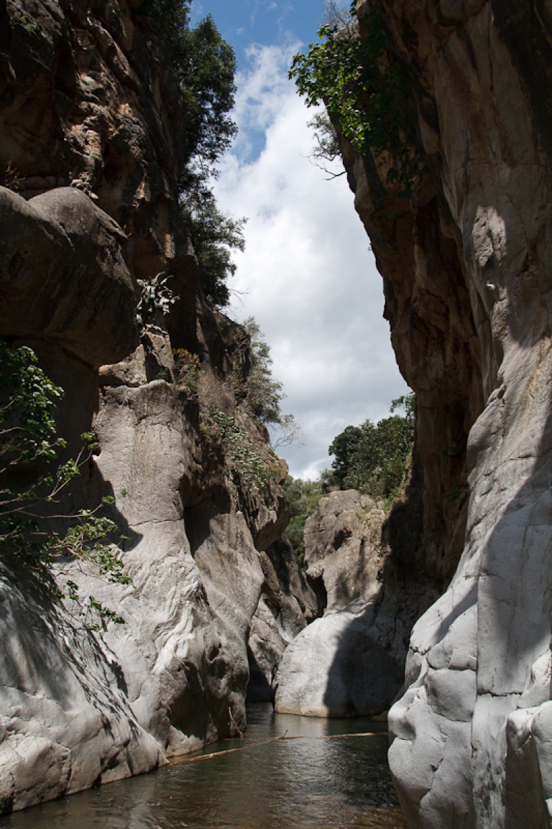 Immagina di camminare in un posto fuori dal tempo: l'incredibile fascino di un canyon segreto tutto siciliano - Foto: Vincenzo Martorana/Wikipedia