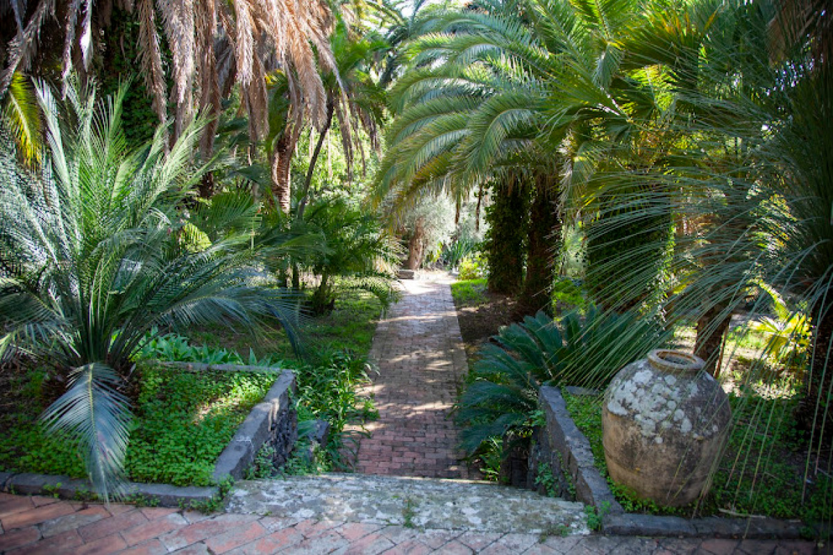 Quando il passato e il presente si incontrano: c'è un giardino nei pressi di Catania che racconta un'avvincente storia - Foto: Paolo Romania