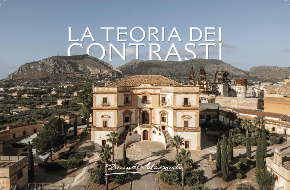 La Sicilia svela il suo segreto | Scopri come il vino si trasforma in arte e emozione! -