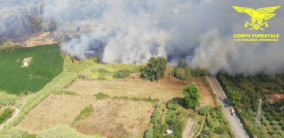Sardegna in fiamme: 50 ettari distrutti! | Cosa sta davvero accadendo sull'isola? -