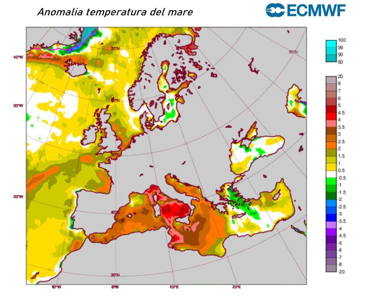 Mare rovente, il Mediterraneo si scalda per la 'Marine Heatwave': cos'è il fenomeno -