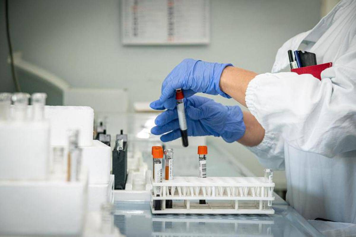 Echinococcosi alveolare, in Europa 4.200 casi: cos'è e da cosa deriva - 