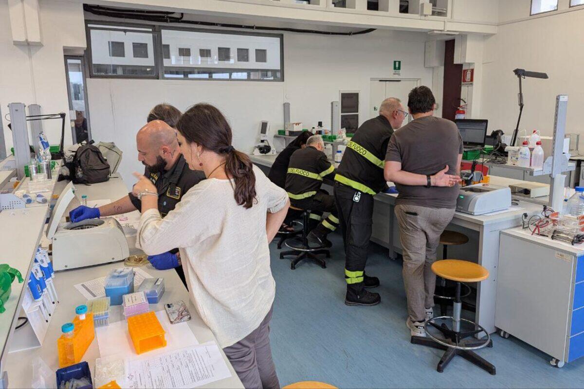 Corso innovativo dei Vigili del Fuoco | Scopri cosa c'è dietro la formazione che cambia le regole del gioco! -