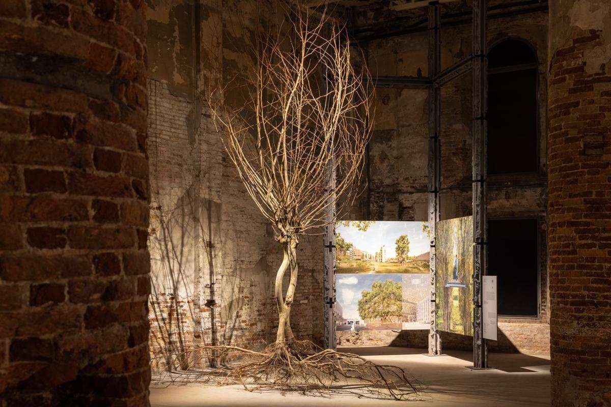 Sostenibilità, Gruppo Saviola: Pannelli Ecologici per Triennale Milano e Biennale Architettura - 