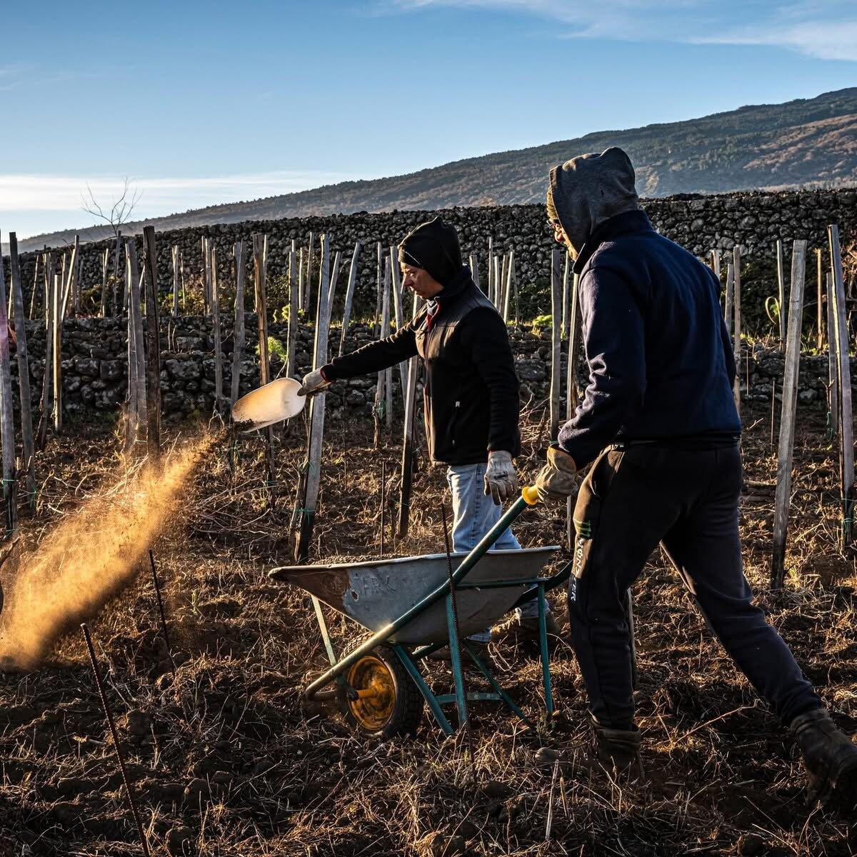 Vino e muretti a secco: la sorprendete connessione che trasforma l'Etna in un'esperienza unica! | Scopri perché questo progetto rivoluzionerà il turismo enologico! -