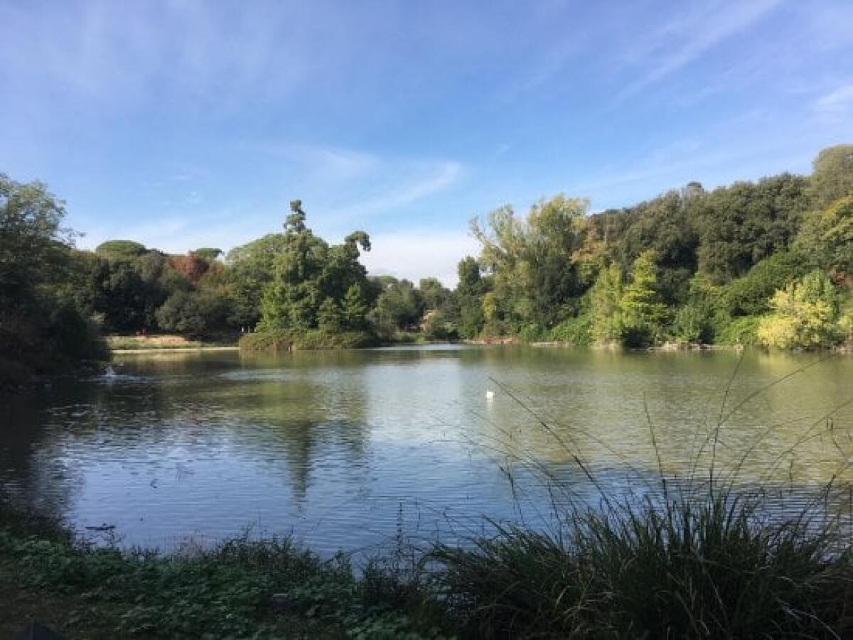 Bambina di 5 mesi ritrovata in un parco | La comunitĂ chiede risposte su un omicidio inquietante -
