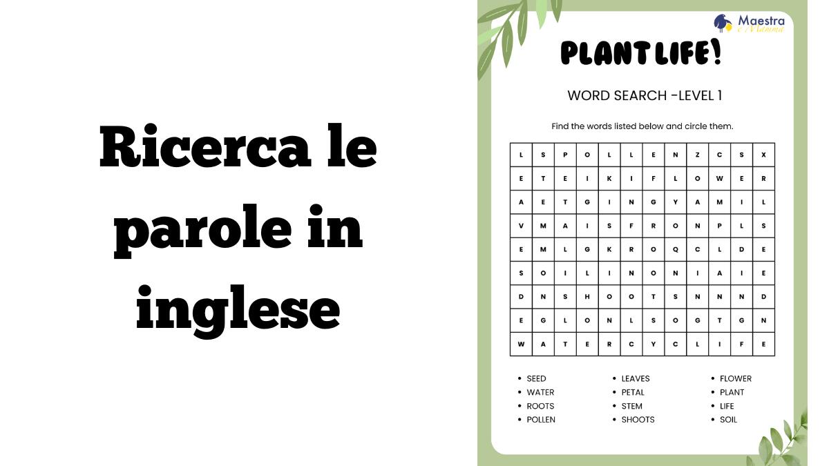Plant Life – Ricerca le parole in inglese - 