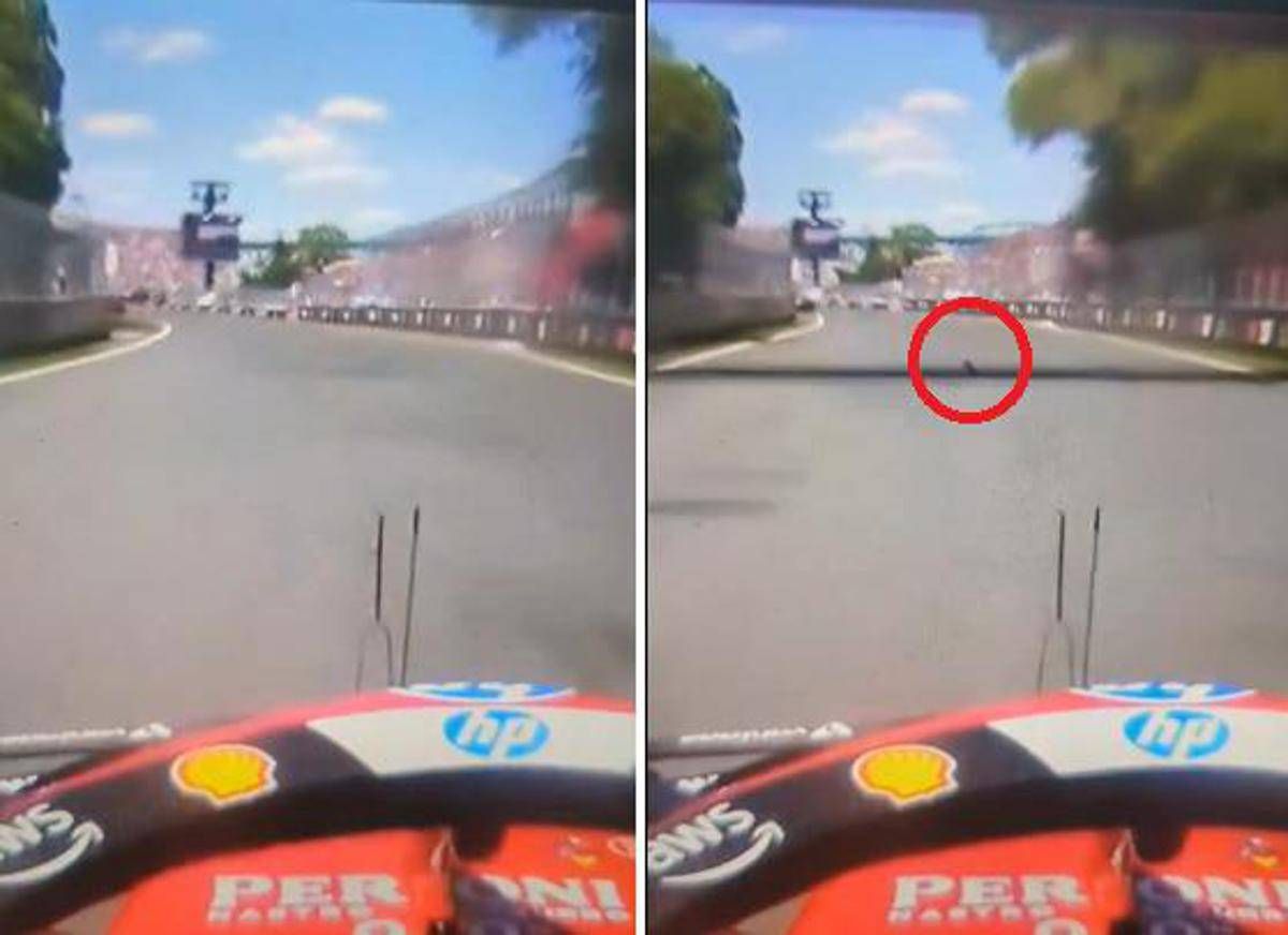 Gp Montreal, Hamilton investe una marmotta. Poi i problemi ai freni - Il video -