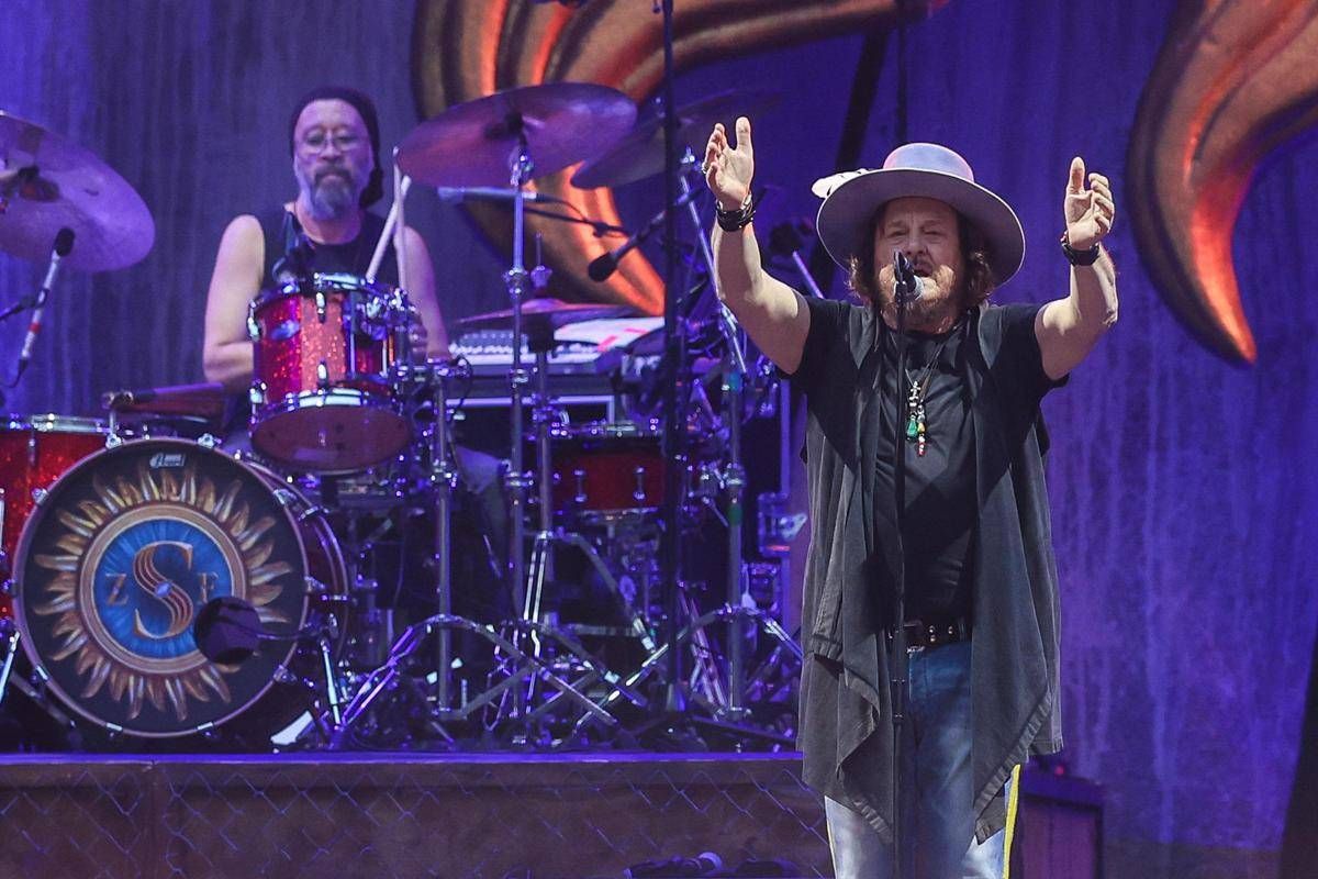 Zucchero contro Bezos: "Perché viene a rompere i cogl...?" - 
