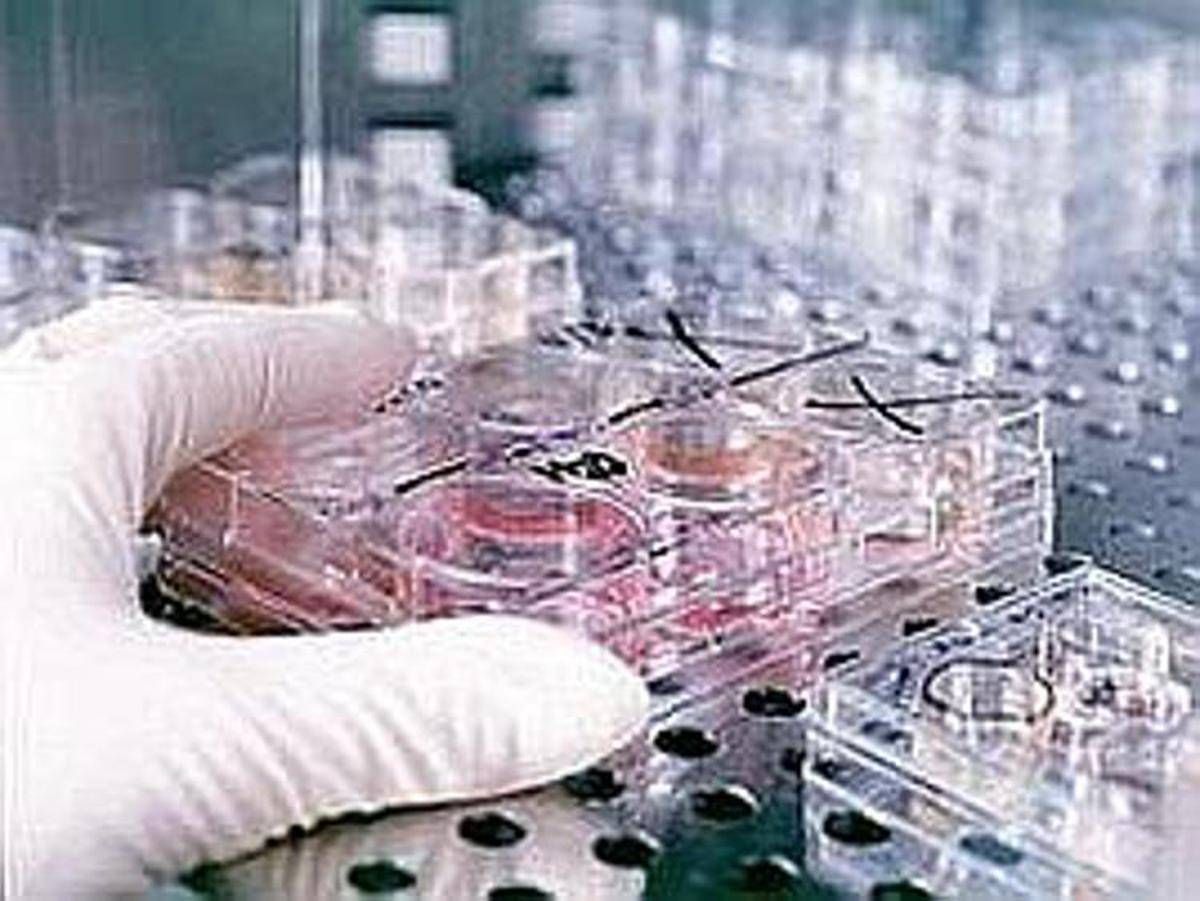 Fecondazione, non solo endometriosi: il nuovo protocllo che combatte l'adenomiosi - 