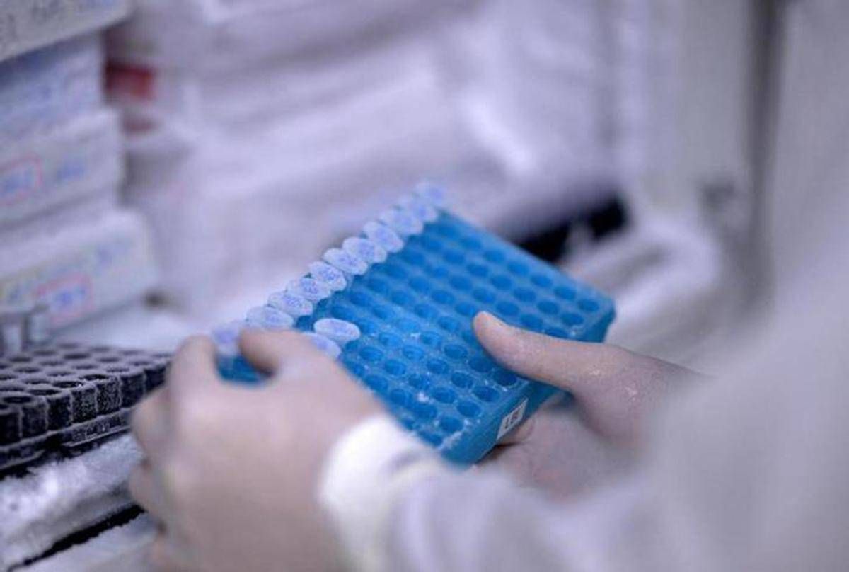 Ricerca, Rizzuto: "In Italia studi su Rna e terapie geniche per cure personalizzate" - 