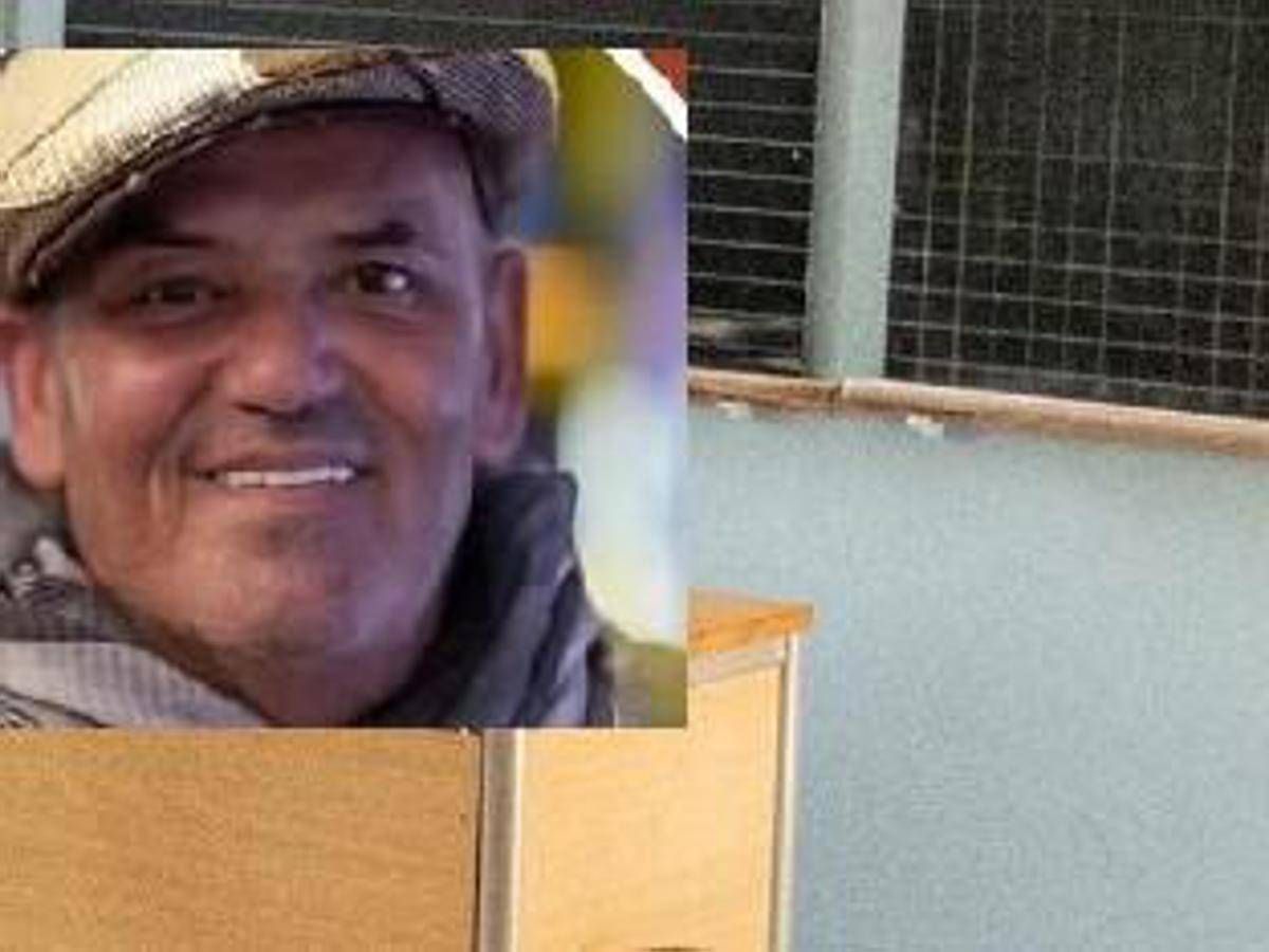 Minacce social a figlia Meloni, sospeso prof autore del post -