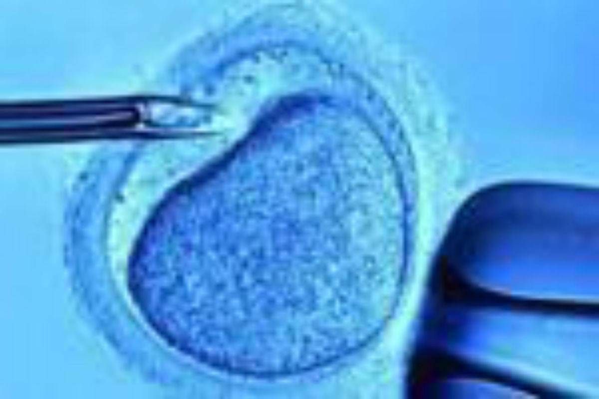 Fecondazione, mamme senza bombe ormonali con meno rischi aborto: 'svolta per over 40' - 