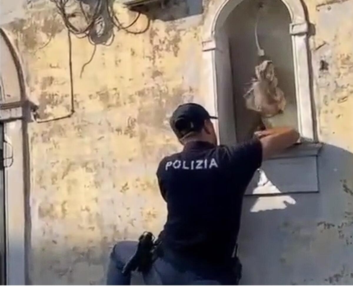 Scoperta shock a Catania | La Polizia arresta un pusher in fuga dalla giustizia nella sua stessa strada! -