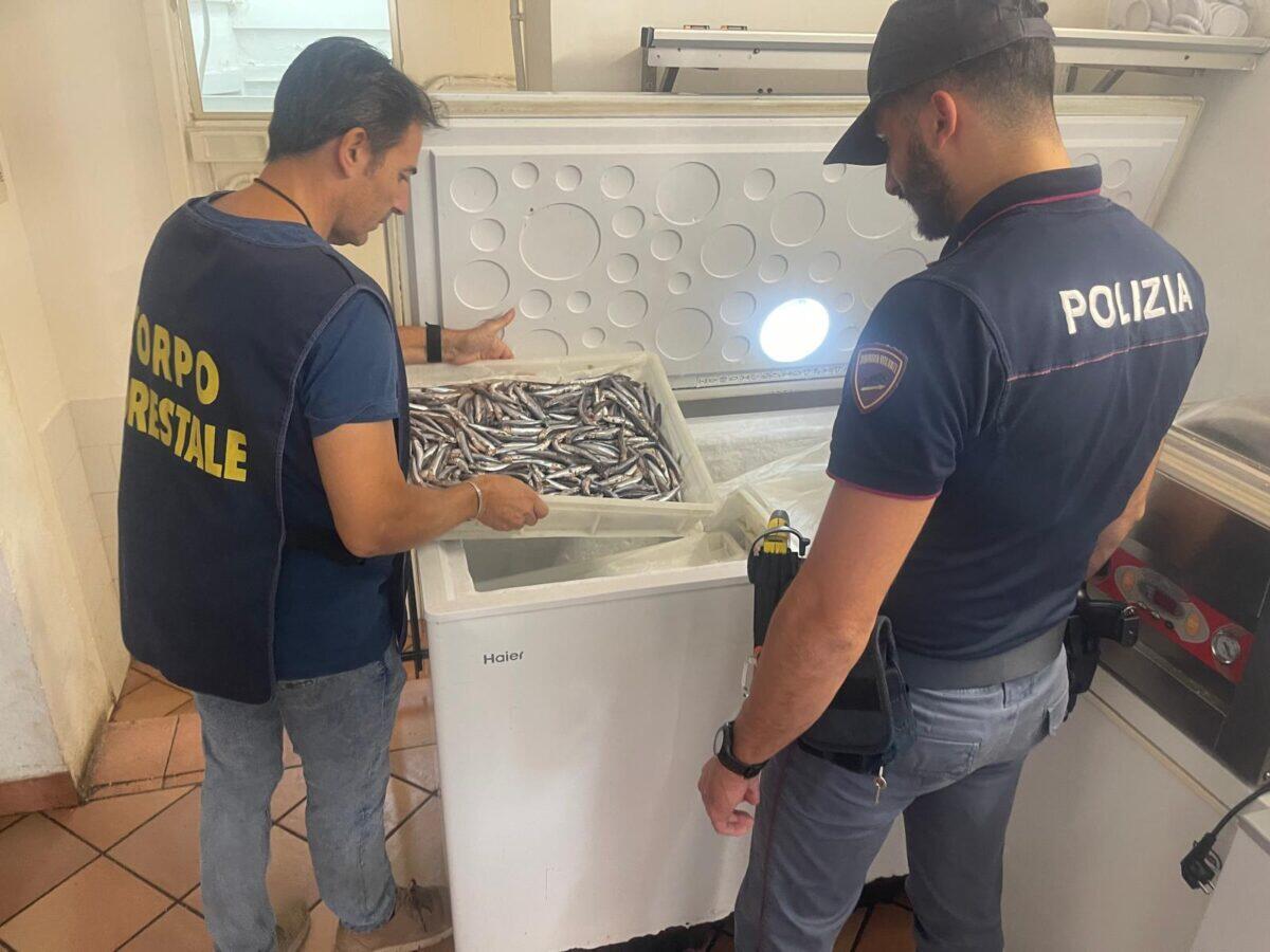 Controlli a sorpresa della Polizia a Catania | Scopri cosa nascondeva un ristorante sotto gli occhi di tutti! -