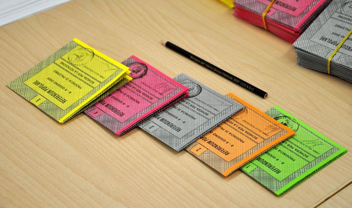 Referendum, l'analisi: un elettore del Pd su 4 ha votato no alla cittadinanza - 