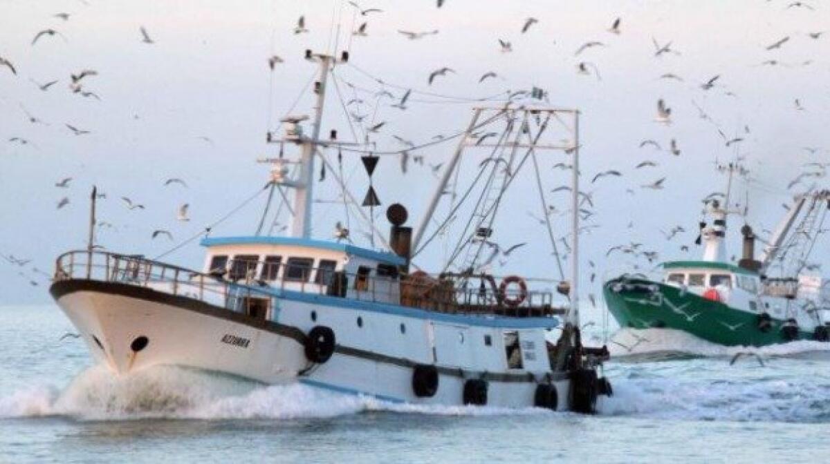 6 milioni di euro per la pesca | Ma è davvero la soluzione ai problemi della Regione Siciliana? -