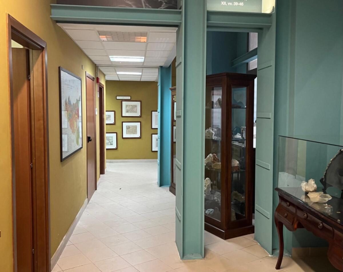 Il Comune di Messina apre un Museo che rivoluziona la storia naturale! | Scopri cosa nessuno ti ha mai rivelato su questo tesoro nascosto! -