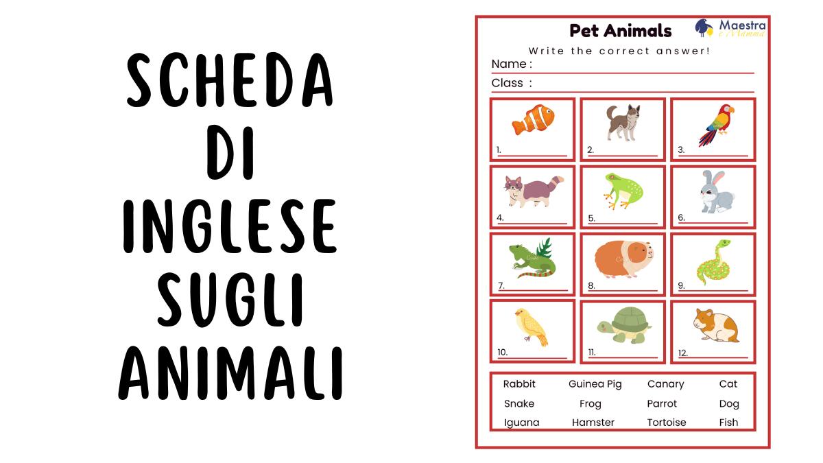 Pet Animals – Scheda didattica di inglese - 