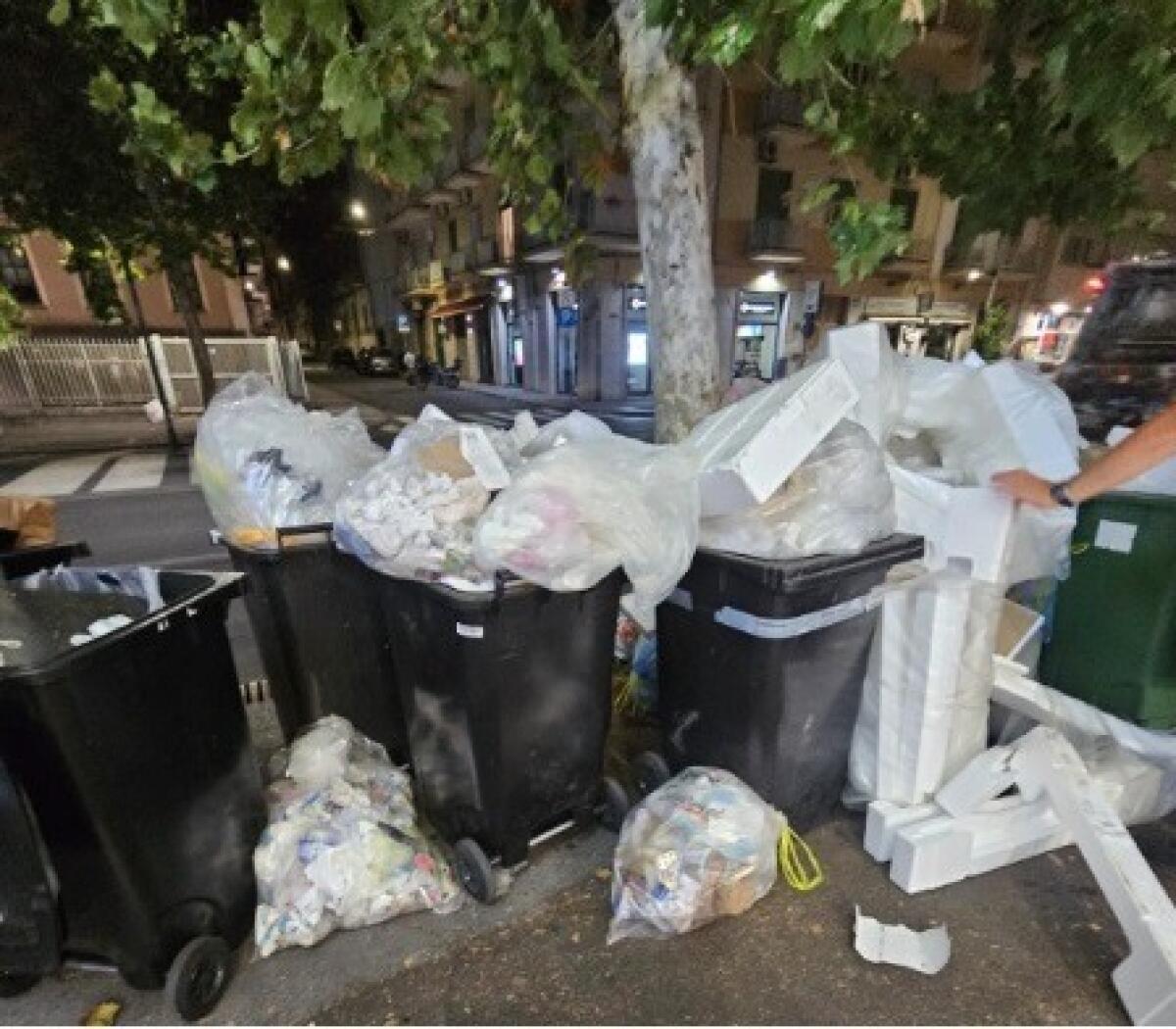 Blitz della Polizia Locale a Catania | 148 multe per i trasgressori dell'igiene pubblica! -