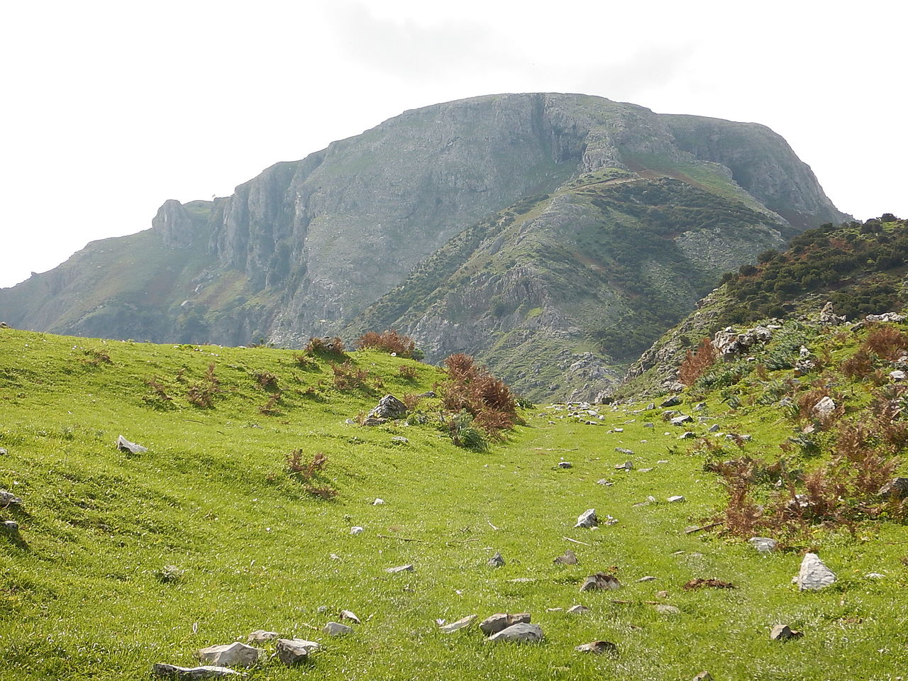 Monte Scuderi