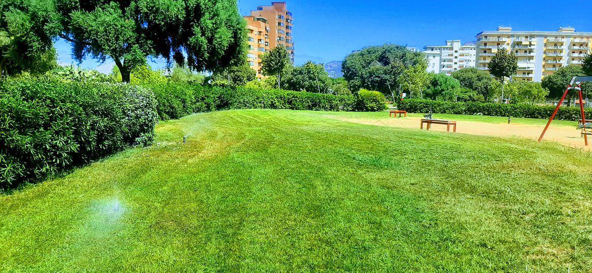 Area verde