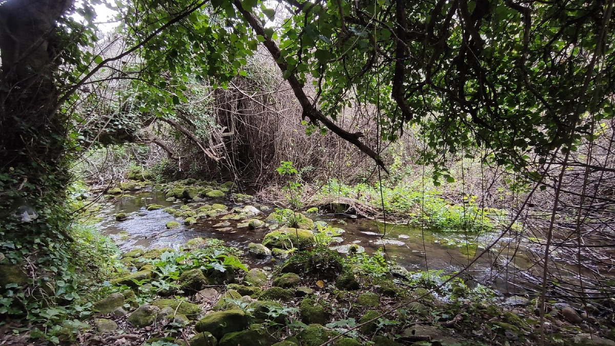 Un luogo a Siracusa che pochi conoscono davvero: il Bosco di Baulì e l'incredibile scoperta archeologica - Foto: maubarbagallo/Wikiloc