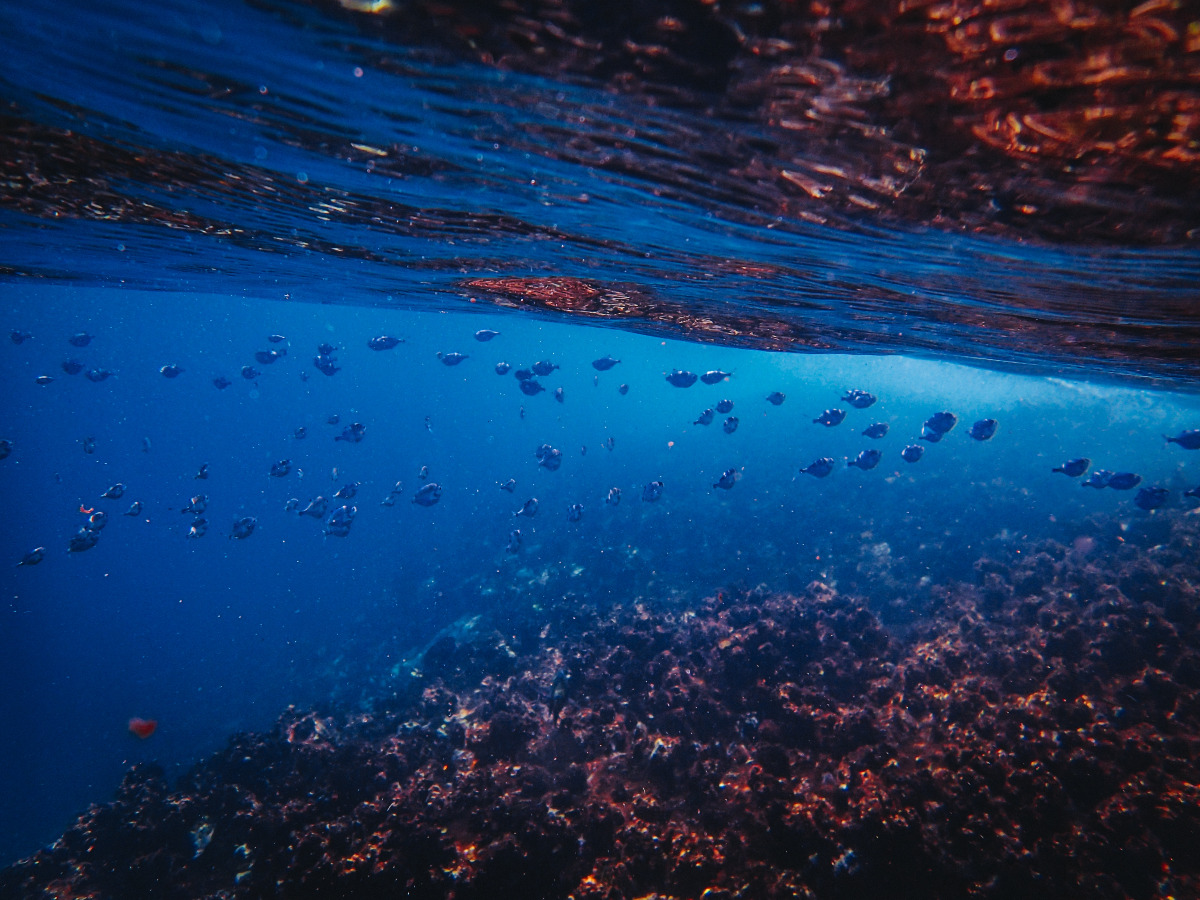 Un futuro incerto per il mare | Come il Mediterraneo sta affrontando una crisi senza precedenti - Foto: wirestock/freepik
