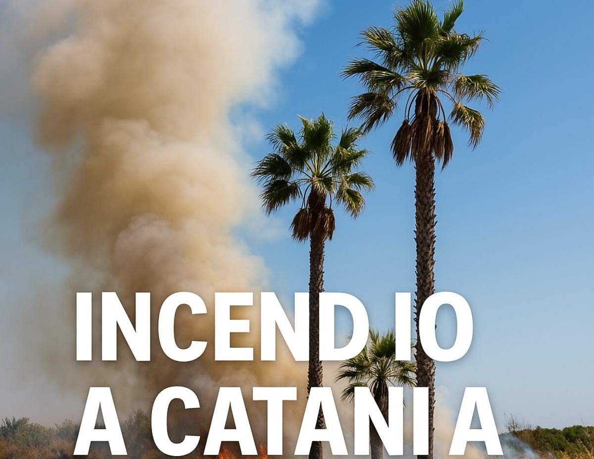 Panico alla Playa di Catania: fiamme altissime e fumo visibile da vari punti della città -