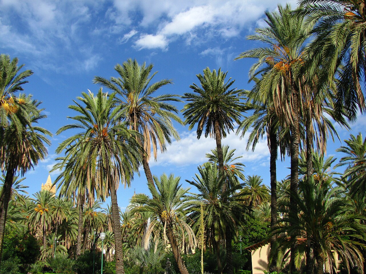 Un giardino pubblico stupefacente nel cuore di Palermo, la chiamano "piccola pompei palermitana", non immagini perché - Foto: Magister_Ludi (Demian Germain)/Wikipedia