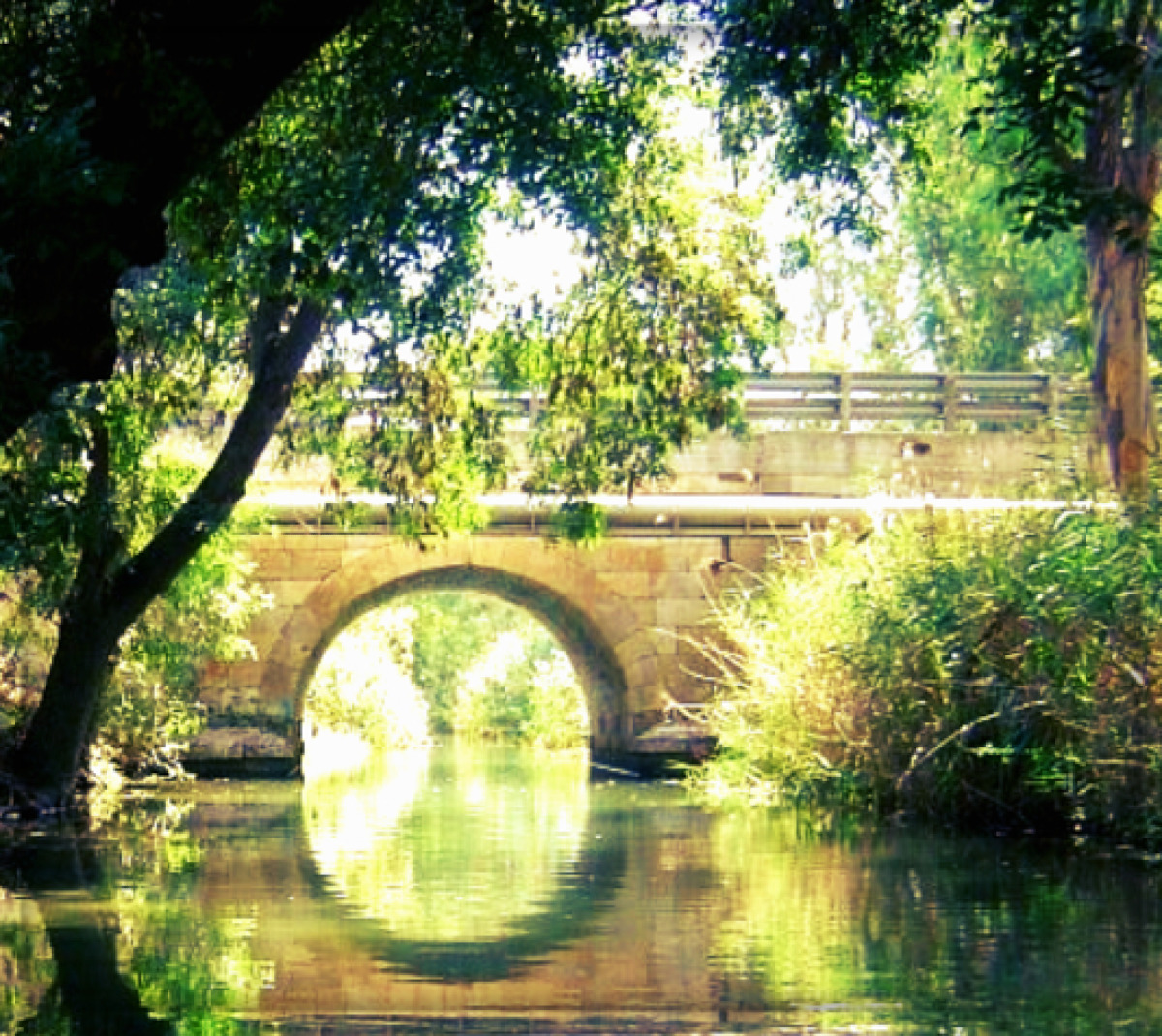 Il Ponte dimenticato sul Ciane, il fiume sacro di Siracusa e i segreti della dea Aretusa - Foto: Stella/Wikipedia